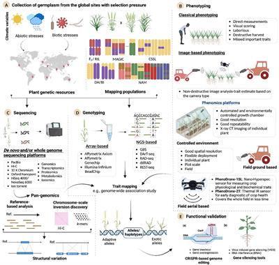 Omics-driven exploration and mining of key functional genes for the improvement of food and fiber crops